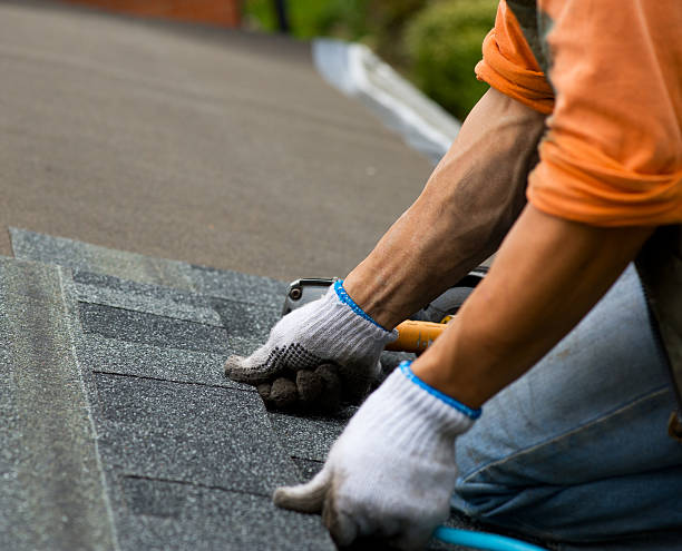 Roof Gutter Cleaning in Culloden, WV